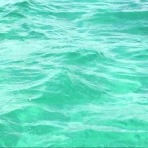 Meet your Posher, Lacey